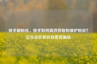 快手刷粉丝，快手如何高效获取和维护粉丝？亿乐社区低价自营货源站