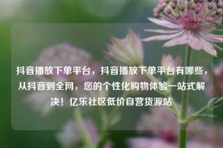 抖音播放下单平台，抖音播放下单平台有哪些，从抖音到全网，您的个性化购物体验一站式解决！亿乐社区低价自营货源站