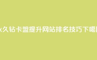 永久钻卡盟，提升网站排名技巧