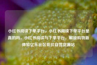 小红书阅读下单平台，小红书阅读下单平台是真的吗，小红书阅读与下单平台，解锁购物新体验亿乐社区低价自营货源站