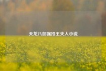 天龙八部强推王夫人小说