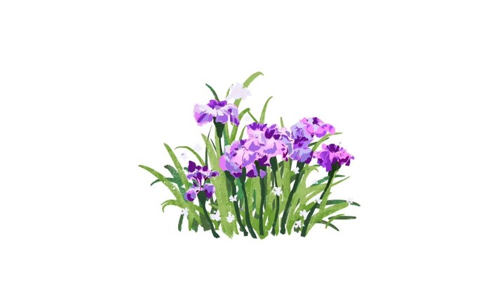 花开之处，便是故地  第3张