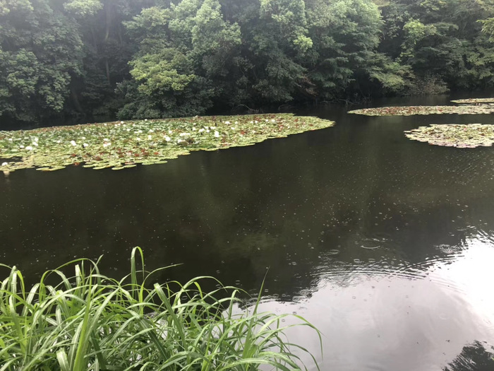 花开之处，便是故地  第8张