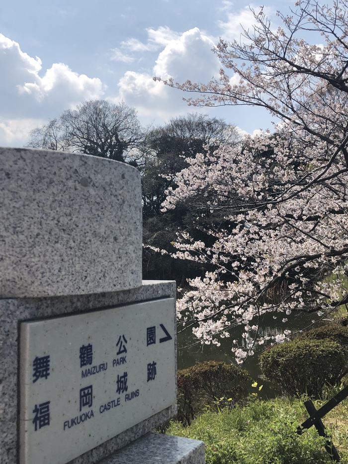 花开之处，便是故地  第16张