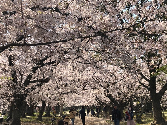 花开之处，便是故地  第21张