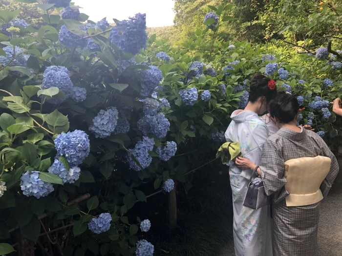 花开之处，便是故地  第26张