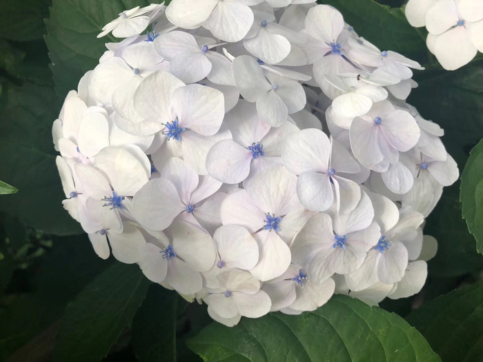 花开之处，便是故地  第29张