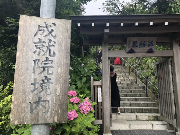 花开之处，便是故地  第32张