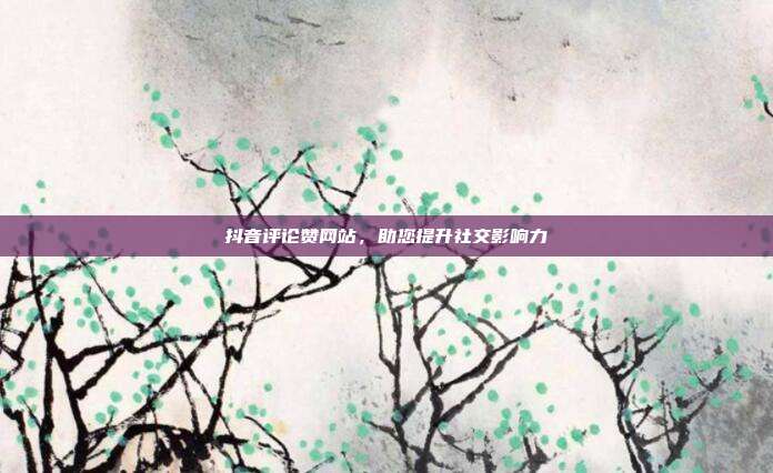 抖音评论赞网站，助您提升社交影响力  第1张