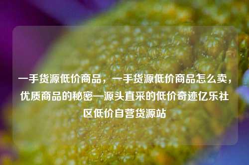 一手货源低价商品，一手货源低价商品怎么卖，优质商品的秘密—源头直采的低价奇迹亿乐社区低价自营货源站  第1张