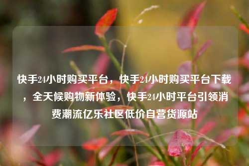 快手24小时购买平台，快手24小时购买平台下载，全天候购物新体验，快手24小时平台引领消费潮流亿乐社区低价自营货源站  第1张