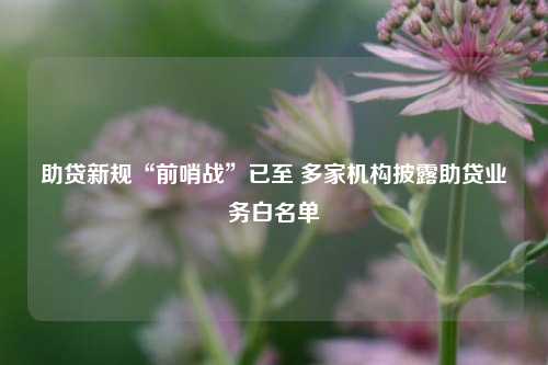 助贷新规“前哨战”已至 多家机构披露助贷业务白名单  第1张