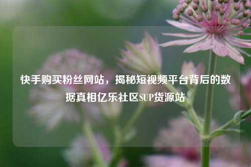 快手购买粉丝网站，揭秘短视频平台背后的数据真相亿乐社区SUP货源站  第1张