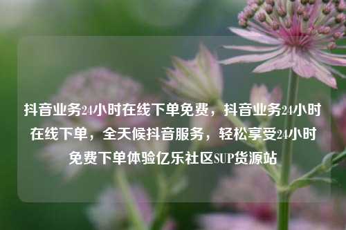 抖音业务24小时在线下单免费，抖音业务24小时在线下单，全天候抖音服务，轻松享受24小时免费下单体验亿乐社区SUP货源站  第1张