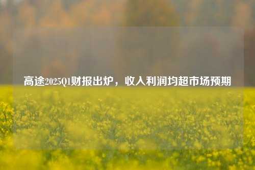 高途2025Q1财报出炉，收入利润均超市场预期  第1张