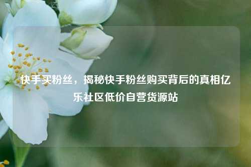 快手买粉丝，揭秘快手粉丝购买背后的真相亿乐社区低价自营货源站  第1张