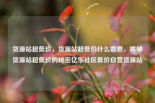 货源站超低价，货源站超低价什么意思	，揭秘货源站超低价的秘密亿乐社区低价自营货源站  第1张