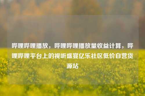 哔哩哔哩播放，哔哩哔哩播放量收益计算，哔哩哔哩平台上的视听盛宴亿乐社区低价自营货源站  第1张