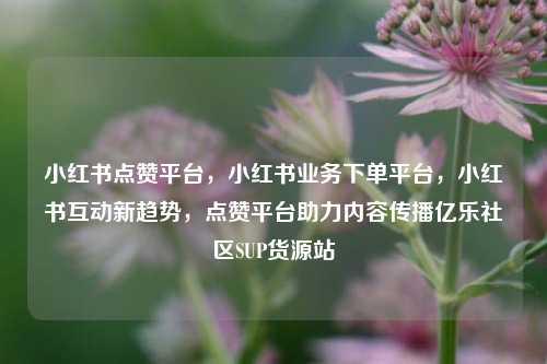 小红书点赞平台，小红书业务下单平台，小红书互动新趋势，点赞平台助力内容传播亿乐社区SUP货源站  第1张