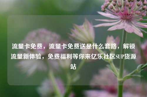 流量卡免费，流量卡免费送是什么套路，解锁流量新体验	，免费福利等你来亿乐社区SUP货源站  第1张
