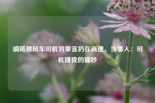 嘀嗒顺风车司机将乘客扔在高速，当事人：司机嫌我的猫吵  第1张
