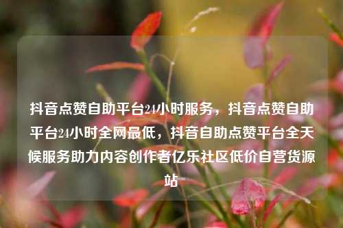 抖音点赞自助平台24小时服务，抖音点赞自助平台24小时全网最低，抖音自助点赞平台全天候服务助力内容创作者亿乐社区低价自营货源站  第1张