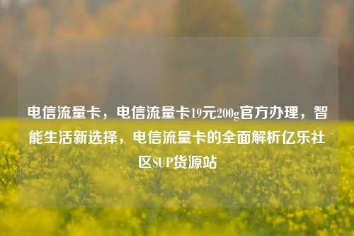 电信流量卡，电信流量卡19元200g官方办理，智能生活新选择，电信流量卡的全面解析亿乐社区SUP货源站  第1张