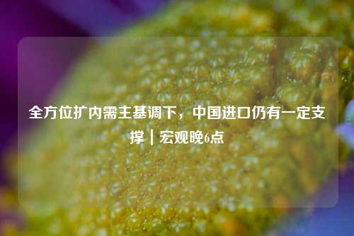 全方位扩内需主基调下，中国进口仍有一定支撑｜宏观晚6点  第1张