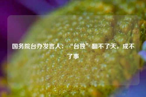 国务院台办发言人：“台独”翻不了天，成不了事  第1张