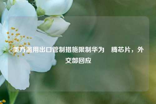 美方滥用出口管制措施限制华为昇腾芯片，外交部回应  第1张