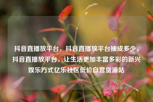 抖音直播放平台，抖音直播放平台抽成多少，抖音直播放平台	，让生活更加丰富多彩的新兴娱乐方式亿乐社区低价自营货源站  第1张