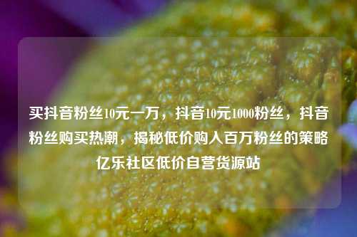 买抖音粉丝10元一万，抖音10元1000粉丝	，抖音粉丝购买热潮，揭秘低价购入百万粉丝的策略亿乐社区低价自营货源站  第1张