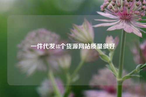 一件代发48个货源网站质量很好  第1张
