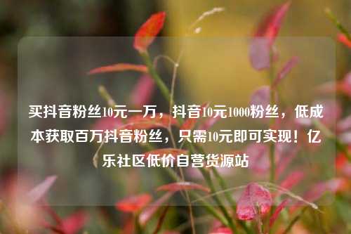 买抖音粉丝10元一万	，抖音10元1000粉丝，低成本获取百万抖音粉丝，只需10元即可实现！亿乐社区低价自营货源站  第1张