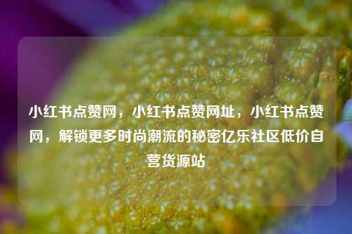 小红书点赞网	，小红书点赞网址，小红书点赞网，解锁更多时尚潮流的秘密亿乐社区低价自营货源站  第1张