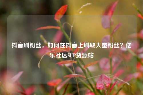 抖音刷粉丝	，如何在抖音上刷取大量粉丝？亿乐社区SUP货源站  第1张