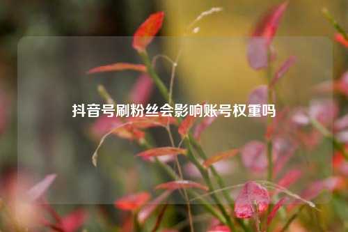 抖音号刷粉丝会影响账号权重吗  第1张