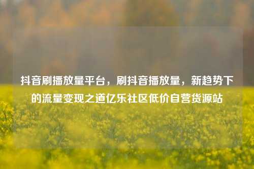 抖音刷播放量平台，刷抖音播放量，新趋势下的流量变现之道亿乐社区低价自营货源站  第1张
