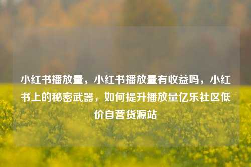 小红书播放量，小红书播放量有收益吗，小红书上的秘密武器	，如何提升播放量亿乐社区低价自营货源站  第1张