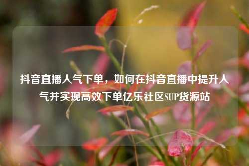 抖音直播人气下单，如何在抖音直播中提升人气并实现高效下单亿乐社区SUP货源站  第1张