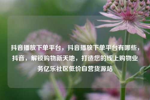 抖音播放下单平台，抖音播放下单平台有哪些	，抖音，解锁购物新天地，打造您的线上购物业务亿乐社区低价自营货源站  第1张