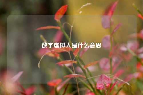 数字虚拟人是什么意思  第1张