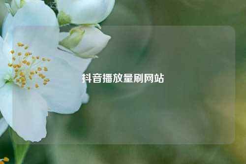 抖音播放量刷网站  第1张