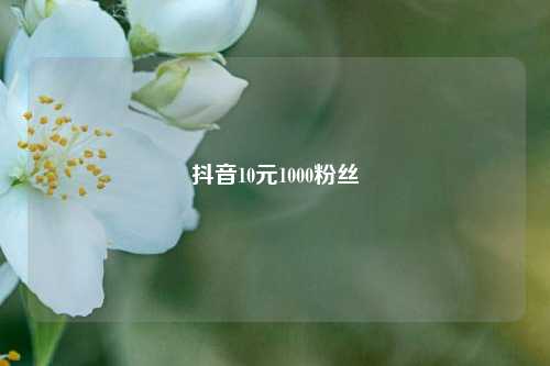 抖音10元1000粉丝  第1张