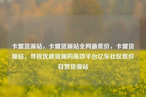 卡盟货源站	，卡盟货源站全网最低价，卡盟货源站，寻找优质货源的高效平台亿乐社区低价自营货源站  第1张