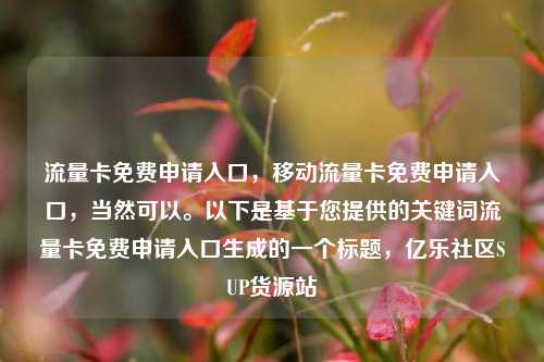 流量卡免费申请入口，移动流量卡免费申请入口，当然可以。以下是基于您提供的关键词流量卡免费申请入口生成的一个标题，亿乐社区SUP货源站  第1张