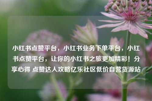 小红书点赞平台，小红书业务下单平台，小红书点赞平台，让你的小红书之旅更加精彩！分享心得 点赞达人攻略亿乐社区低价自营货源站  第1张
