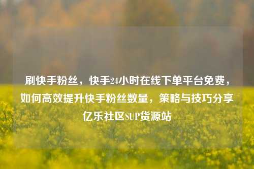 刷快手粉丝，快手24小时在线下单平台免费，如何高效提升快手粉丝数量，策略与技巧分享亿乐社区SUP货源站  第1张