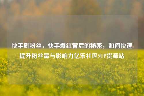 快手刷粉丝，快手爆红背后的秘密，如何快速提升粉丝量与影响力亿乐社区SUP货源站  第1张