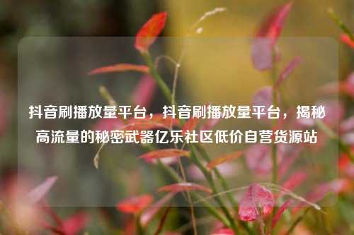 抖音刷播放量平台，抖音刷播放量平台，揭秘高流量的秘密武器亿乐社区低价自营货源站  第1张
